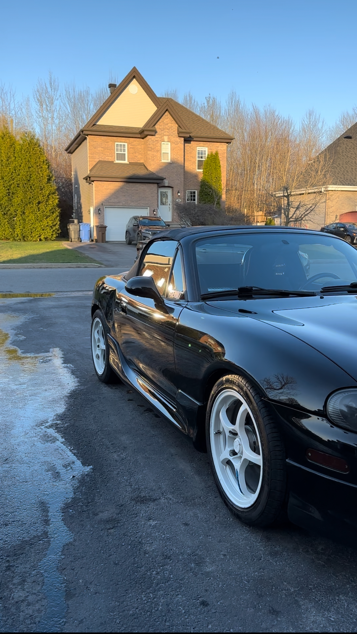 Car detailing