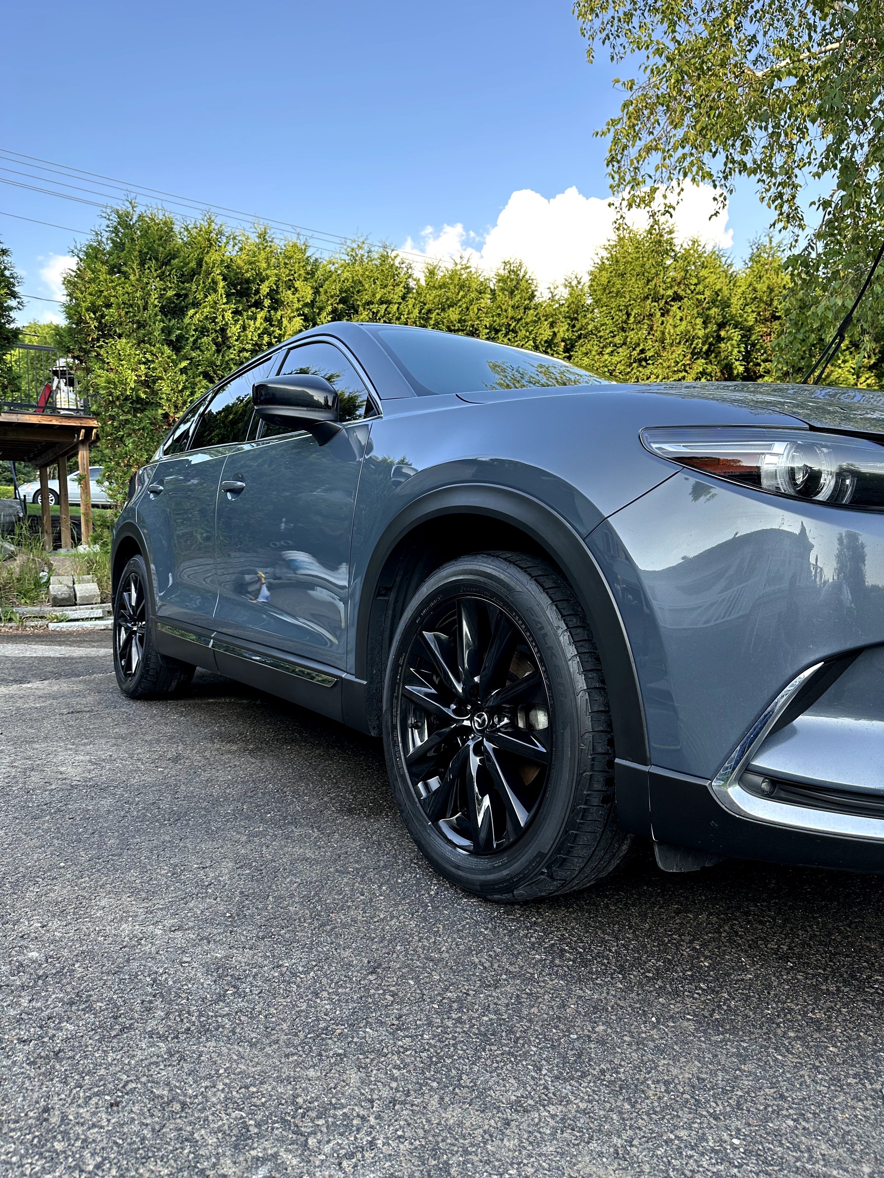 Car detailing